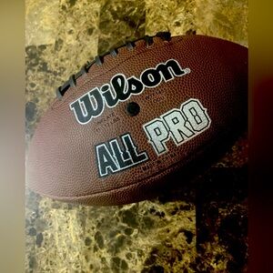 Wilson NFL All-Pro Silver Series Football Official Size